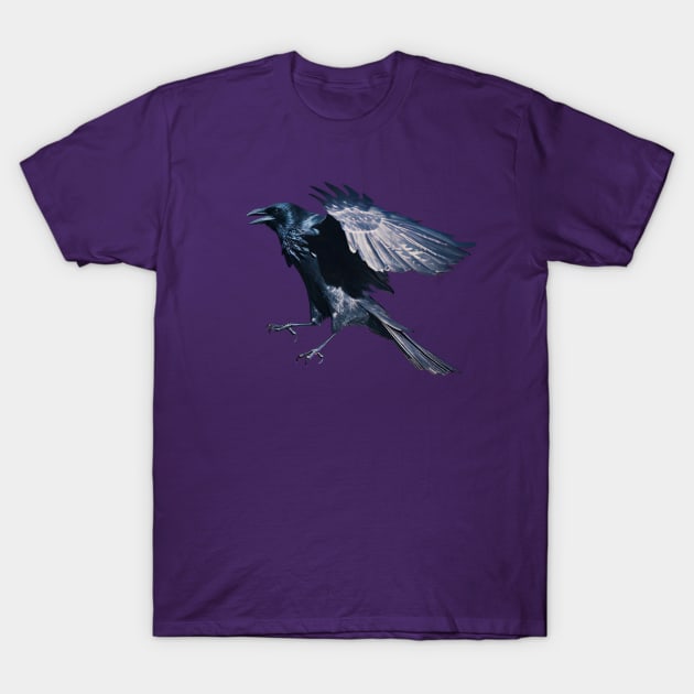 Raven in Mid-flight T-Shirt by Vampyre Zen